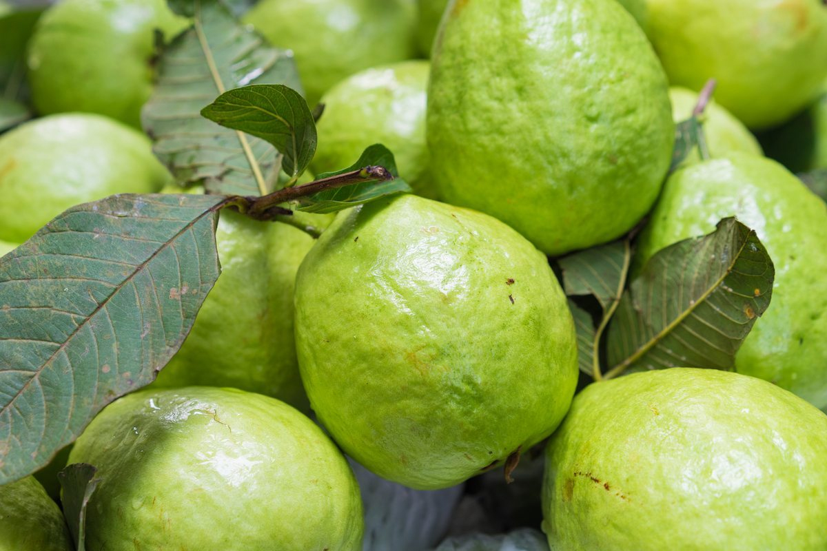 Guava
