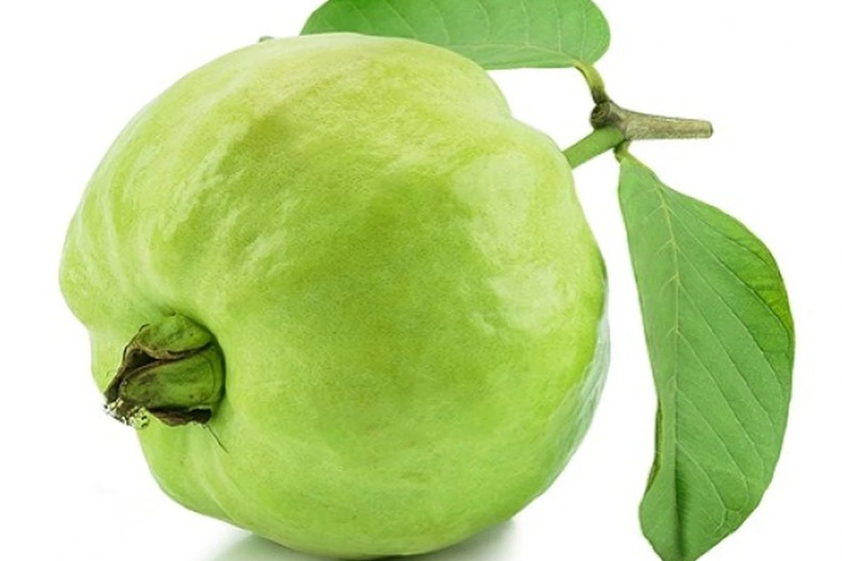 guava2